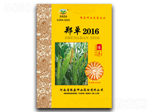 鄭單2016-玉米種子-豫鑫種業(yè)