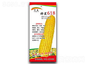 �N��618-���׷N��-�N�ǷN�I(y��)