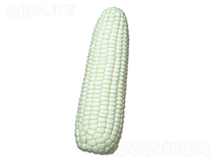 �N�ǰ�Ŵ2̖-Ŵ���׷N��-�N�ǷN�I(y��)