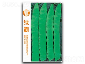 綠霸-蕓豆種子-綠奧