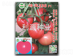 崎玉336-番茄種子-利源種業(yè)