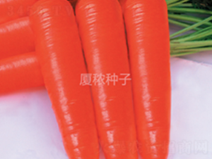 ����t-���}���N��-�B���r(n��ng)�I(y��)