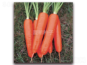 �鸣517-���}���N��-�B���r(n��ng)�I(y��)