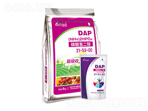 �������@21-53-00-�ɽ����