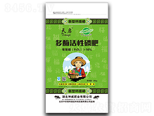 ��ø�����׷�-�솢-����