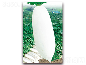 �Ž����t�}��-���}���N��-�A�r(n��ng)�N�I(y��)