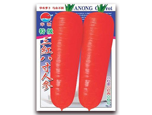 �ؼ�(j��)���t�˴煢-���}���N��-�A�r(n��ng)�N�I(y��)