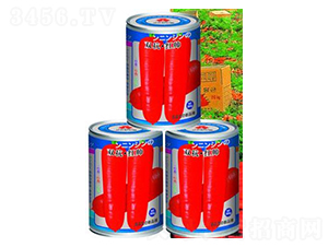 �p�����t��-���}���N��-�A�r(n��ng)�N�I(y��)