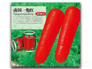 �χ�(gu��)һ�ڼt-���}���N��-�A�r(n��ng)�N�I(y��)