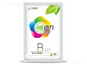 ����(d��ng)��-��̩�r(n��ng)�I(y��)