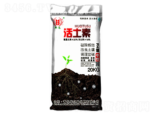 ������-�A�|ʢ