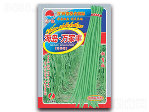 海島·萬家豐-豇豆種子-華農(nóng)種業(yè)