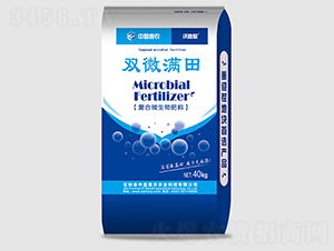 ��(f��)��΢�������-�p΢�M��-��ӯ���r(n��ng)