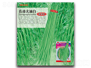 真功夫油白-豇豆種子-華農(nóng)種業(yè)