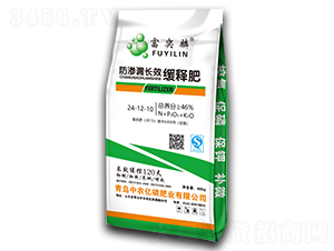 ���B©�LЧ��ጷ�24-12-10-������-���r�|��