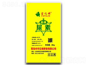 ���w����-���|��-���r�|��