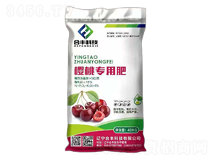 ���Ҍ��÷�-���S�Ƽ�