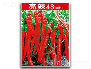 ����48-�����N��-���r(n��ng)