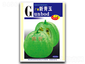 新青玉-甜瓜種子-亮農(nóng)