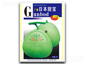 日本甜寶-甜瓜種子-亮農(nóng)