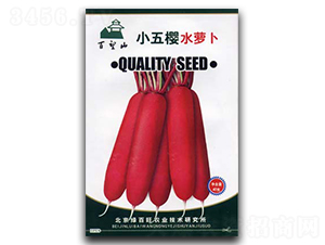 С���ˮ�}��-�}���N��-�G����