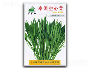 泰國(guó)空心菜-空心菜種子-綠百旺