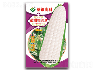 ����Ŵ810-��Ŵ���׷N��-���y�ϲ�