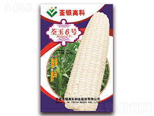 ����6̖-Ŵ���׷N��-���y�ϲ�