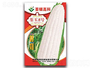 ����8̖-Ŵ���׷N��-���y�ϲ�