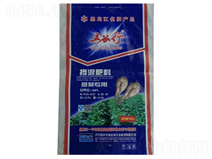 ��ˌ��Ó������-���_��