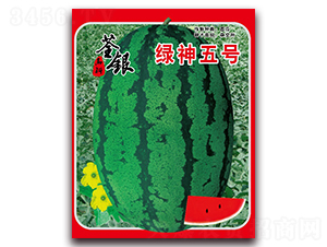 綠神五號(hào)-西瓜種子-荃銀瓜菜