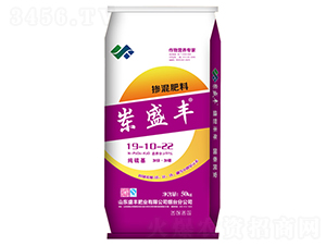 摻混肥料19-10-22-崠盛豐-盛豐肥業(yè)