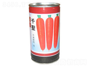 ǧʥ-���}���N��-������