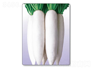 ������-���}���N��-������