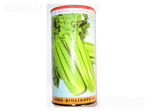 美國文圖拉-芹菜種子-科立昌