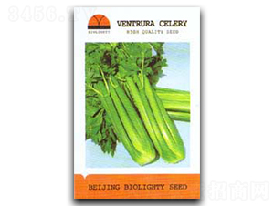 ����(gu��)�ĈD��2̖(h��o)-�۲˷N��-������