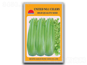 美利堅(jiān)1號(hào)-芹菜種子-科立昌