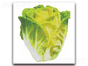 �Sѿ14-�ײ˷N��-�����r(n��ng)