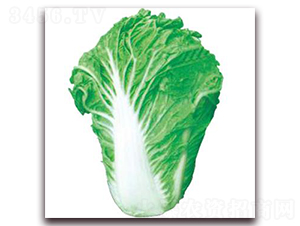 ������̖-�ײ˷N��-�����r(n��ng)