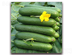 �̴�19-�S�ϷN��-�����r(n��ng)