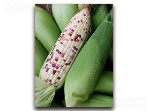 ����Ŵ16̖-���׷N��-�����r(n��ng)