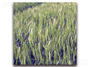 �P(y��ng)��18-С���N��-�����r(n��ng)