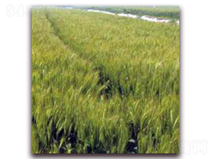 �P(y��ng)��20-С���N��-�����r(n��ng)