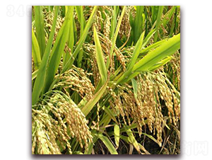 ����39-ˮ���N��-�����r(n��ng)