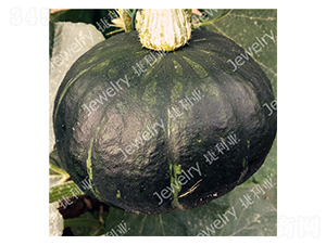 ����50-�ϹϷN��-������