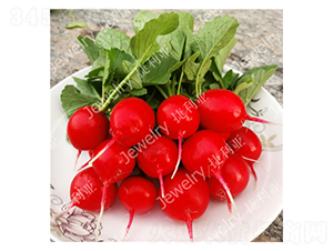 ����(y��u)3̖(h��o)-�����}���N��-������