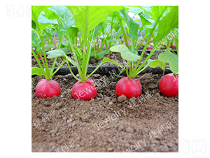 ����(y��u)5̖(h��o)-�����}���N��-������