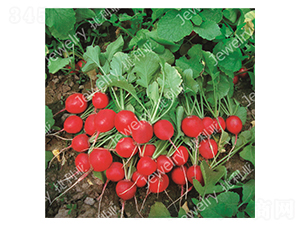 ����(y��u)2̖(h��o)-�����}���N��-������