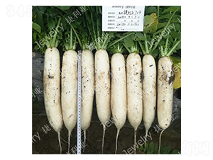 ������709-�}���N��-������