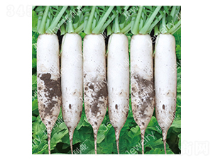 ������711-�}���N��-������